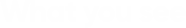 what_you_see